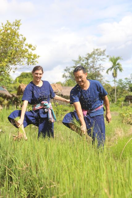 Chiang Mai: Thai Buffalo and Rice Planting Experience - Key highlights worth your time