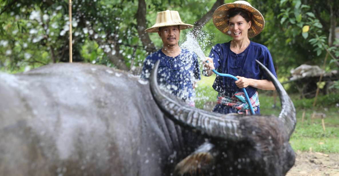 Chiang Mai: Thai Buffalo and Rice Planting Experience - Hang Tueng Farm: where farm life feels real