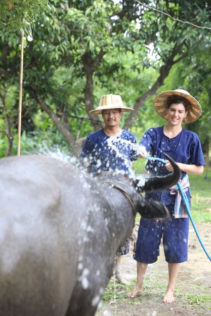 Chiang Mai: Thai Buffalo and Rice Planting Experience - Price and value: why $57 can make sense here