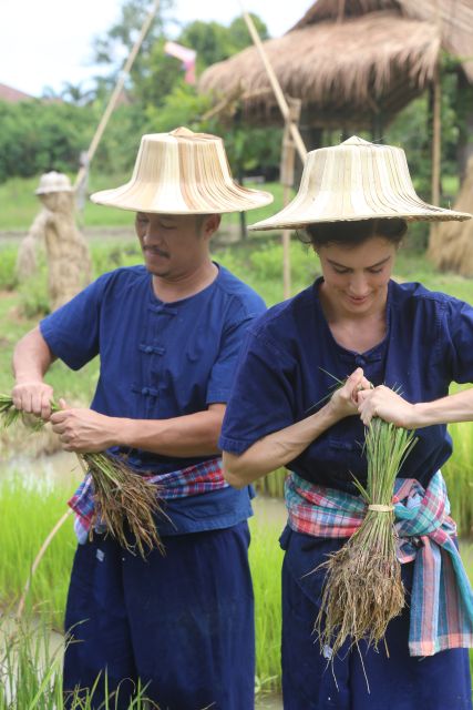 Chiang Mai: Thai Buffalo and Rice Planting Experience - The logistics that actually matter (and what to double-check)