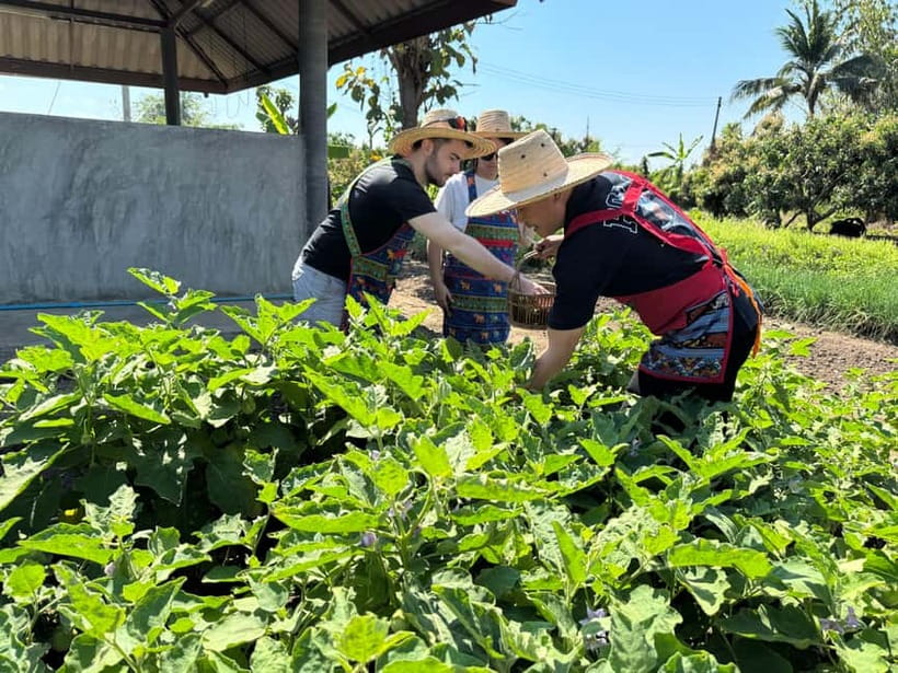 Chiang Mai : Thai Cooking in Farm with a Local Train Trip - What’s Included (and Why the Value Adds Up)