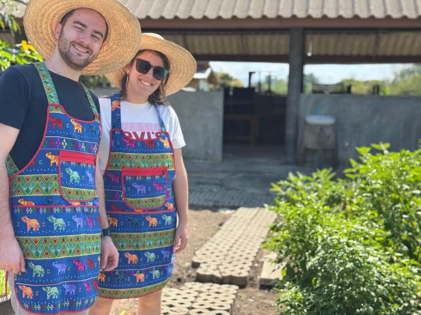 Chiang Mai : Thai Cooking in Farm with a Local Train Trip - Should You Book This Thai Cooking in a Farm With a Local Train Trip?