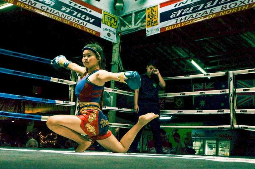 Chiang Mai: Thaphae Boxing Stadium Muay Thai - Who should book this Muay Thai night, and who might skip it