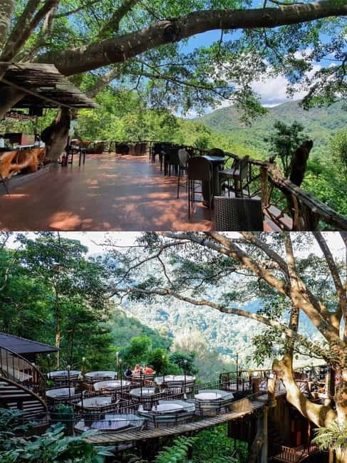 Chiang Mai: The Giant Café & Mae Kampong Village Day Trip - Quick take: what you’ll remember