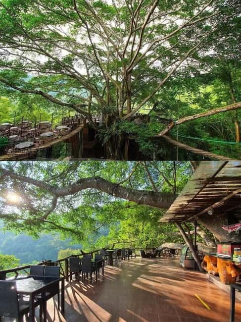 Chiang Mai: The Giant Café & Mae Kampong Village Day Trip - Mountain scenery without the logistics headache