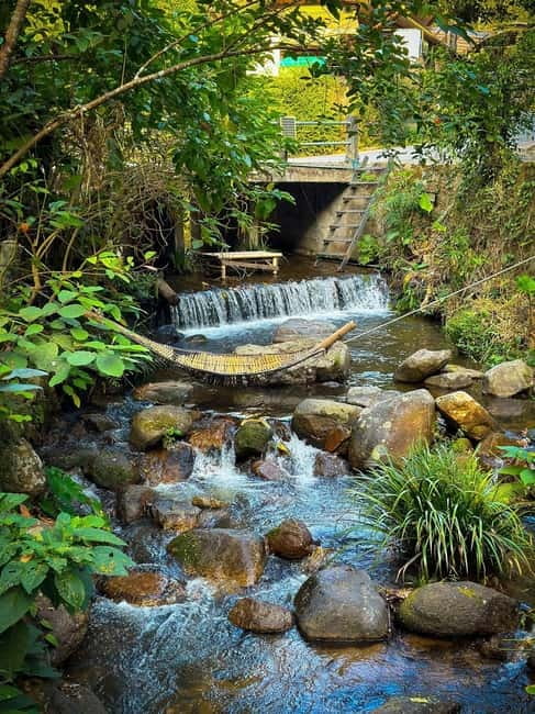 Chiang Mai: The Giant Café & Mae Kampong Village Day Trip - Mae Kampong Village: wooden houses and slow rhythm