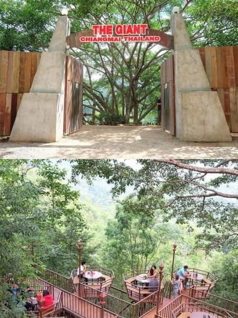 Chiang Mai: The Giant Café & Mae Kampong Village Day Trip - Local Thai lunch: plan for it to be on your own