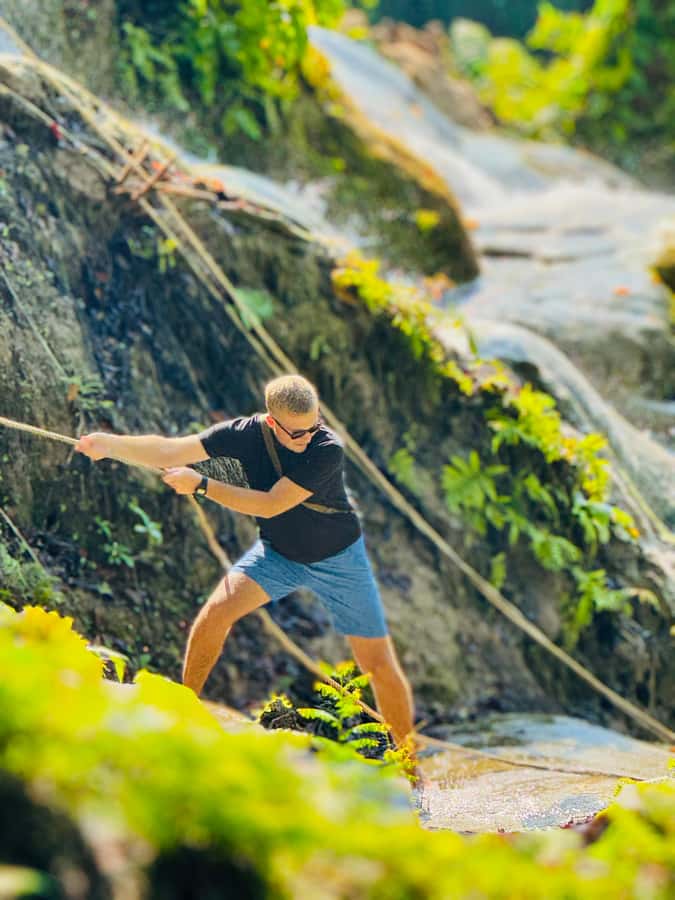 Chiang Mai Tour: Bua Tong Sticky Waterfall & Elephant Care - Key highlights in plain terms