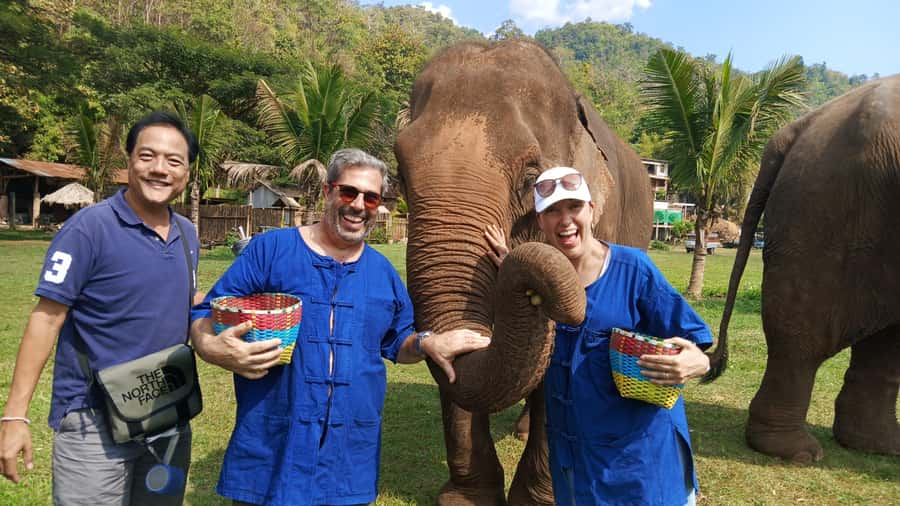 Chiang Mai Tour: Bua Tong Sticky Waterfall & Elephant Care - Hotel pickup to sticky waterfall: the easy pace that matters