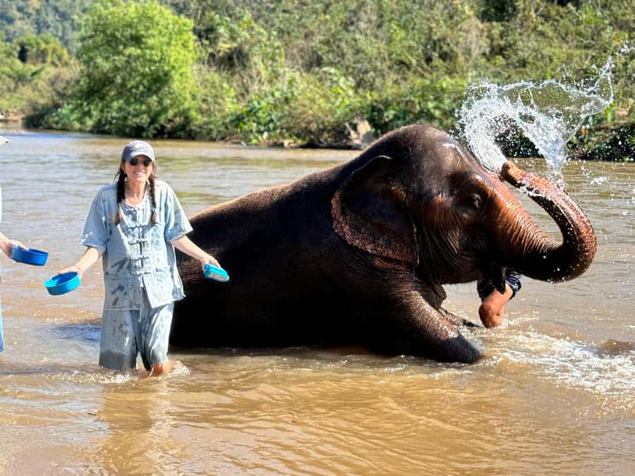 Chiang Mai Tour: Bua Tong Sticky Waterfall & Elephant Care - Feeding, bathing, and walking: how to enjoy it without overdoing it