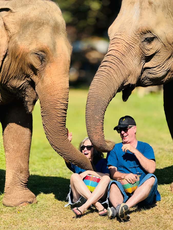 Chiang Mai Tour: Bua Tong Sticky Waterfall & Elephant Care - Bua Tong Sticky Waterfall: climbing that’s doable, but bring the right mindset