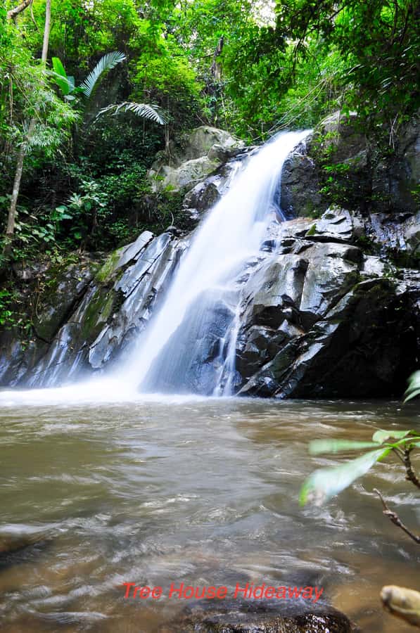 Chiang Mai: Tree House Stay & Jungle Zip-Lining - Key things I’d plan around