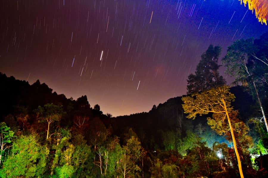 Chiang Mai: Tree House Stay & Jungle Zip-Lining - Tree House Hideaway: how the accommodation really works (and why it’s not just a gimmick)