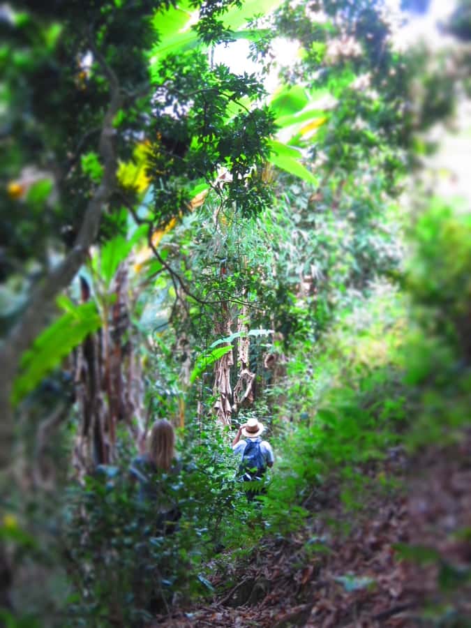 Chiang Mai: Tree House Stay & Jungle Zip-Lining - What to pack for ziplining, waterfall hiking, and hot springs