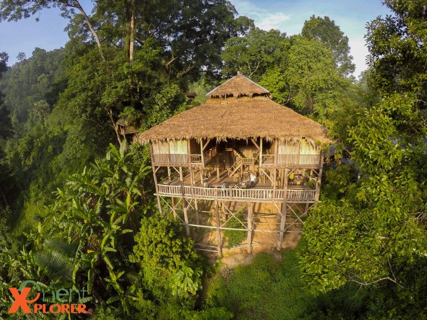 Chiang Mai: Tree House Stay & Jungle Zip-Lining - Price and value: is $209 per person worth it?