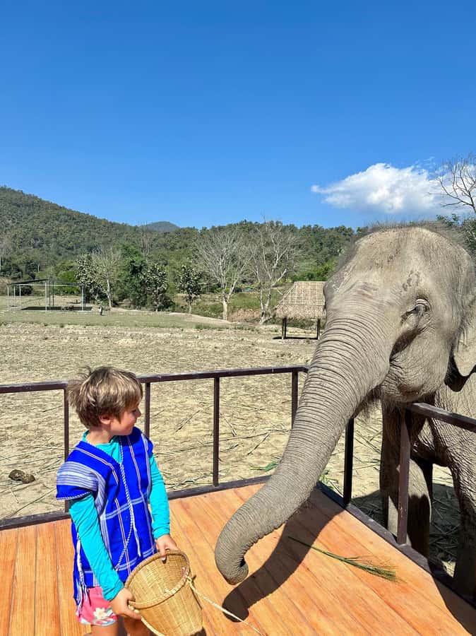 Chiang Mai: Two-day Temple of Elephants Sanctuary Tour - What to Pack: Don’t Overthink It, Just Be Ready