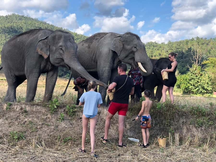 Chiang Mai: Two-day Temple of Elephants Sanctuary Tour - Day One Jungle Trek: Waterfalls, Breaks, and Jungle Lessons