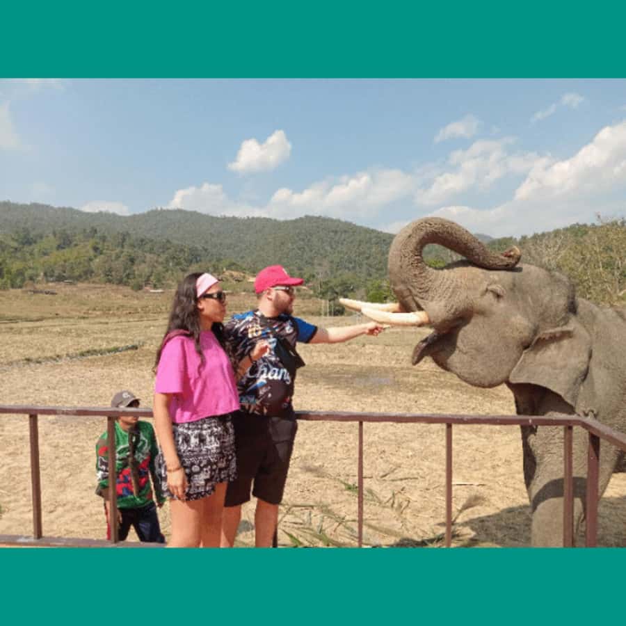 Chiang Mai: Two-day Temple of Elephants Sanctuary Tour - Day Two Start: Breakfast, Then Elephant Camp Time