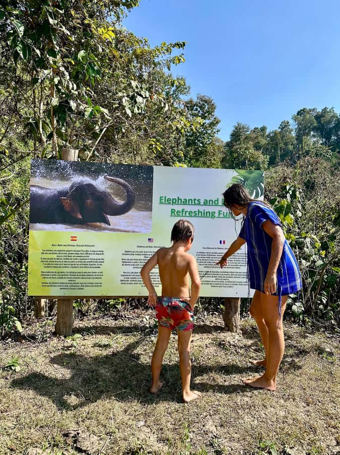 Chiang Mai: Two-day Temple of Elephants Sanctuary Tour - Karen Village Visit: Why It Matters Beyond the Animals