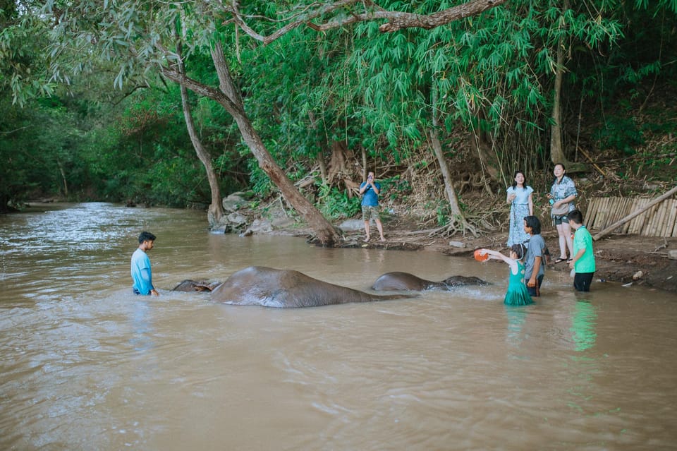 Chiang Mai: Two-day Temple of Elephants Sanctuary Tour - Price and Value: Is $118 a Good Deal?