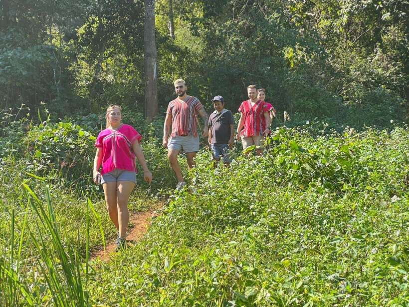 Chiang Mai Untouched Elephant: Nature Walk & Waterfall Trek - Price and Value: Is $51 a Good Deal?