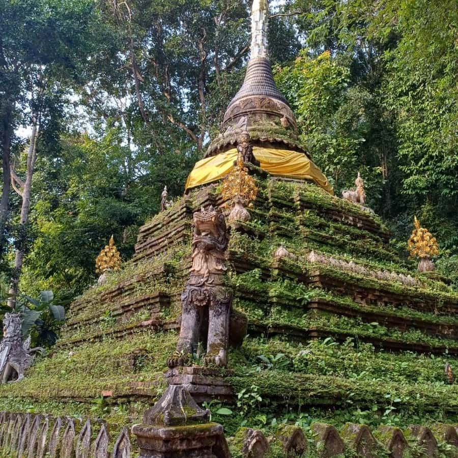 Chiang Mai: Wat Umong, Wat Pha Lat And Wat Doi Suthep Tour - Key things to know before you go