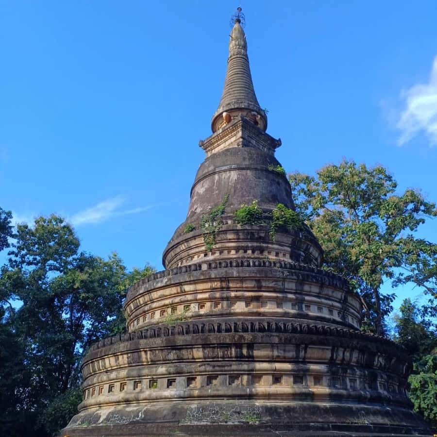 Chiang Mai: Wat Umong, Wat Pha Lat And Wat Doi Suthep Tour - Booking advice: what decision will make your day smoother?