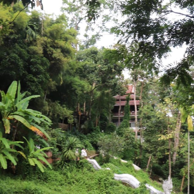 Chiang Mai: Wat Umong, Wat Pha Lat And Wat Doi Suthep Tour - Who should book this 3-temple Chiang Mai tour