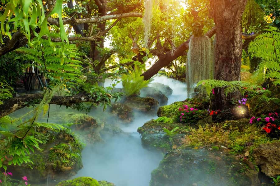 Chiang Mai: White, Blue & Red Temples Tour with Lalitta Cafe - Lalitta Cafe: The Fairy-Tale Break That Can Be 30 or 60 Minutes