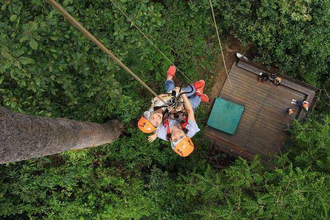 Chiang Mai Zip Line Experience - Key things to know before you go