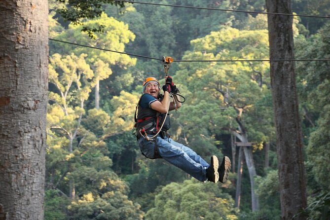 Chiang Mai Zip Line Experience - The full course in the trees: 14 zip lines, 6 staircases, 2 abseils
