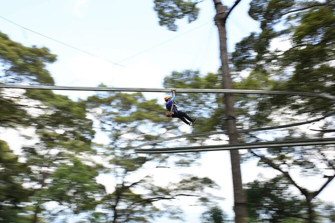 Chiang Mai Zip Line Experience - Fruit break and free drinks: small, smart recovery