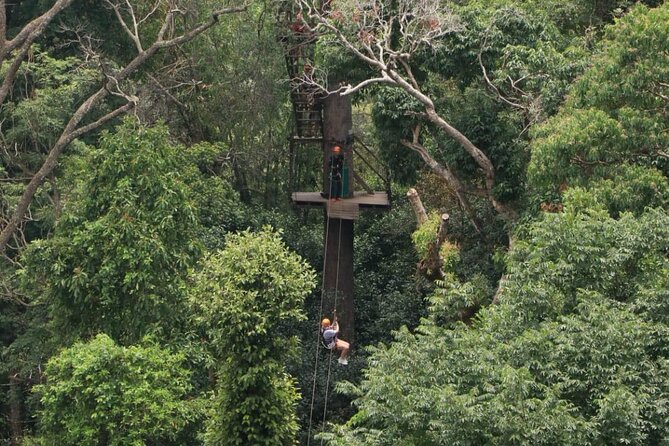 Chiang Mai Zip Line Experience - Fitness limits and who should book (and who should think twice)