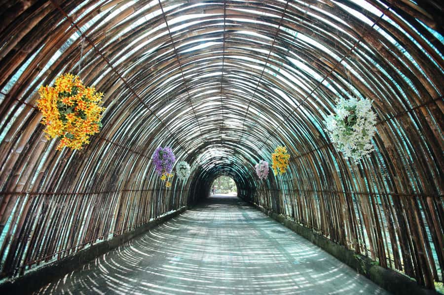 Chiang Mai: Zipline Adventure at Skyline Jungle Luge - Pickup and the winding drive from Chiang Mai town