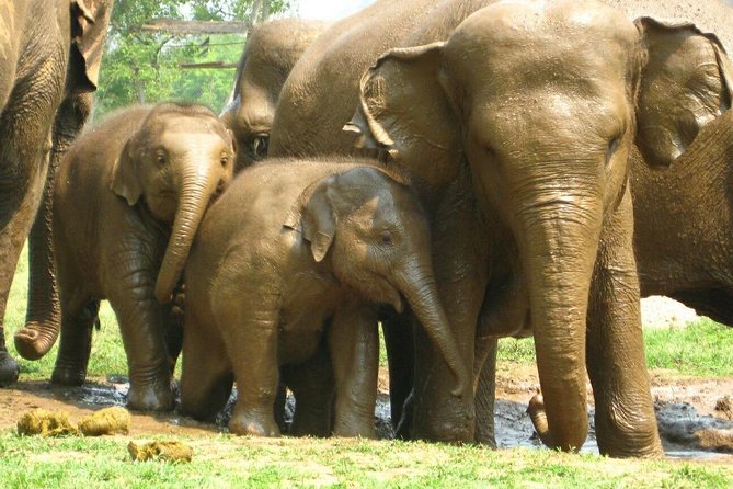 Chiang Mai Zipline White Water Rafting and Elephant Sanctuary - Huai Tueng Thao start: where the day kicks off