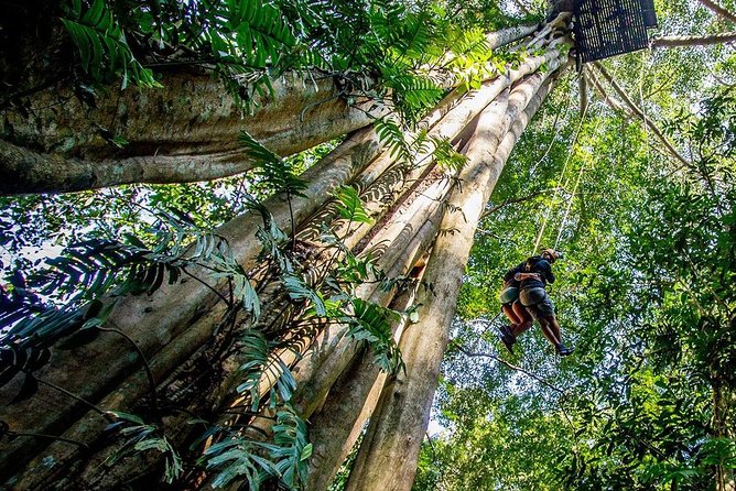 Chiang Mai Zipline White Water Rafting and Elephant Sanctuary - Ziplining over the dam: the canopy view is the main event
