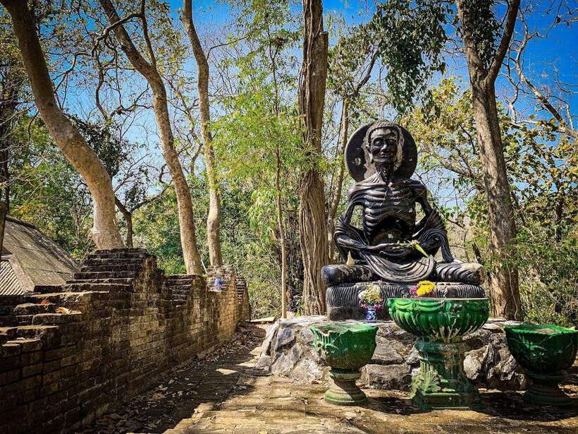 Chiang Mai:Wat Phra That Doi Suthep & Wat Umong Evening Tour - Price and value: what $24 really buys you