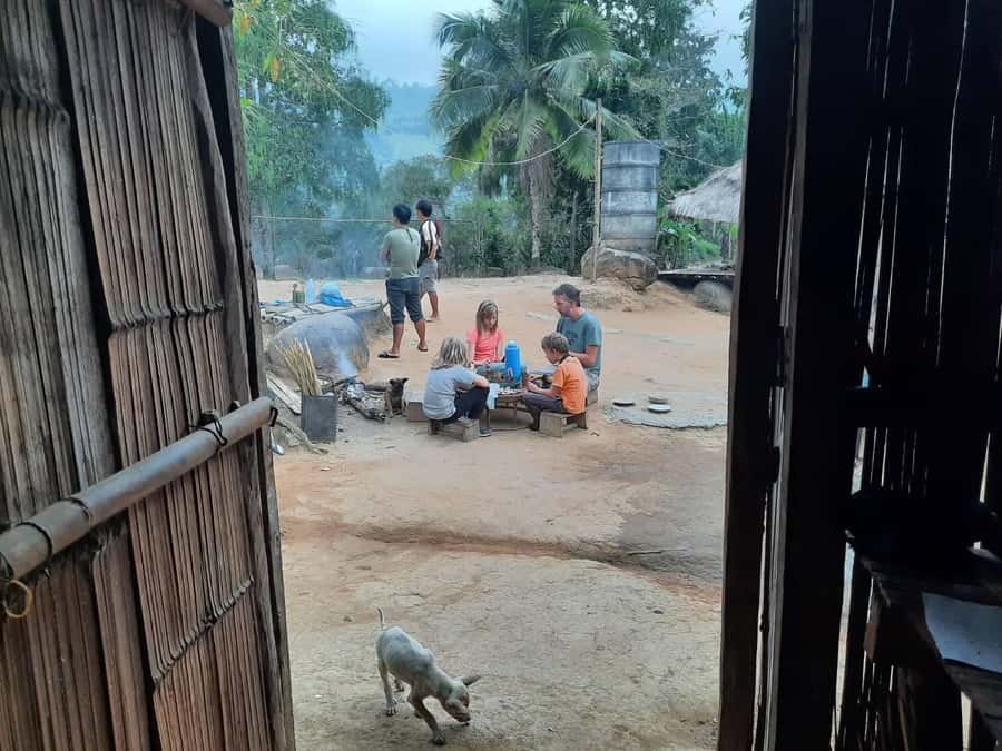 Chiang Rai 1 Day Jungle Trek with Bamboo Lunch & Local Guide - What makes this trek feel worth your $70
