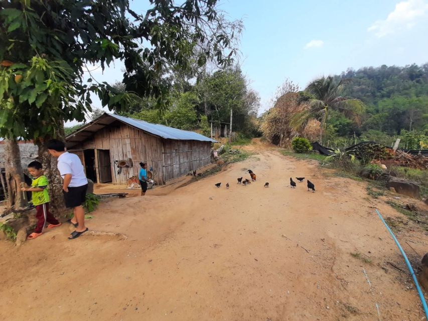 Chiang Rai 1 Day Jungle Trek with Bamboo Lunch & Local Guide - The rice paddies and fields: where the scenery turns to rhythm