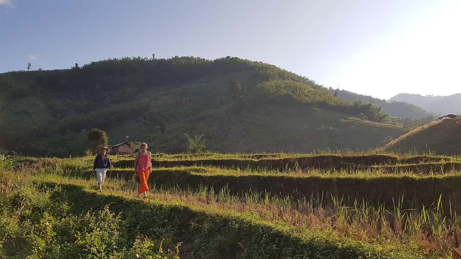 Chiang Rai 1 Day Jungle Trek with Bamboo Lunch & Local Guide - Akha and Lahu village time: culture you can actually see