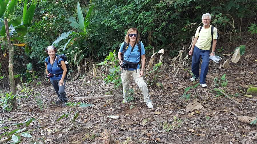 Chiang Rai 1 Day Jungle Trek with Bamboo Lunch & Local Guide - Bamboo-tube lunch: the meal that turns this day into a story