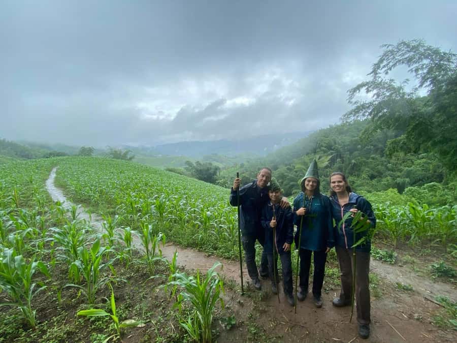Chiang Rai: 1-Day Trekking and Longtail Boat Trip - Price and Value: Is $96 Worth It for a Full Day?