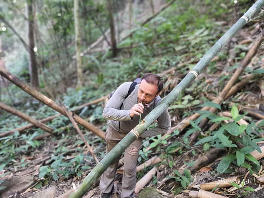 Chiang Rai: 2-Day Jungle Trek only walk with Waterfall - The walking pace: moderate effort, real hills, good chances to adjust