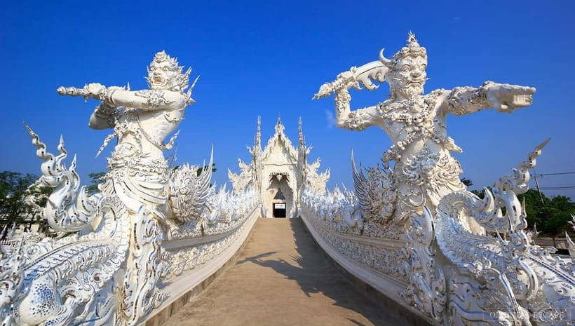 Chiang Rai: 7 Major Sites, Golden Triangle & Tea Plantation - Chui Fong Tea Plantation: a slower reset before the last museum stop