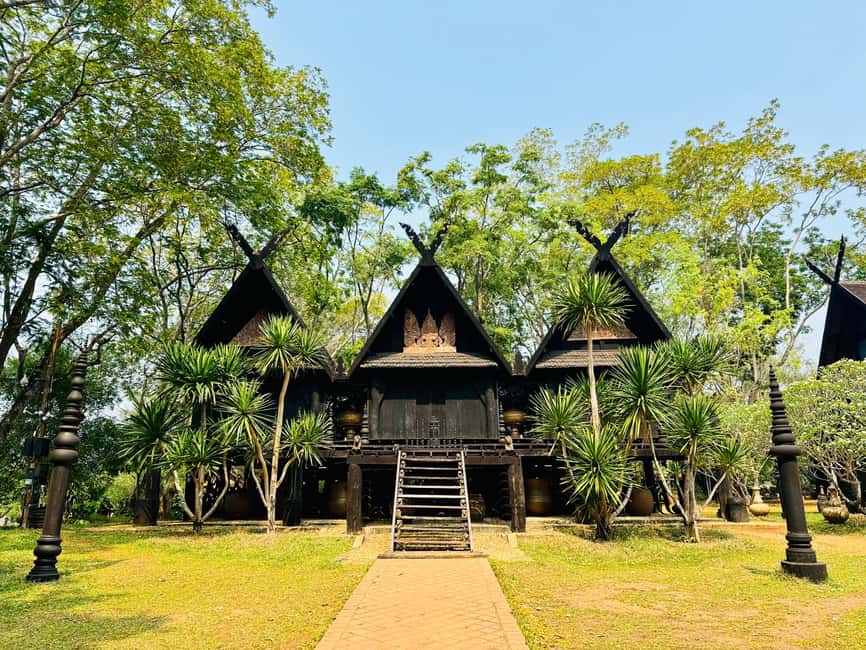 Chiang Rai: 7 Popular Highlights – FREE Lunch Buffet - Choui Fong Tea Plantation: A Breather Before the Golden Triangle