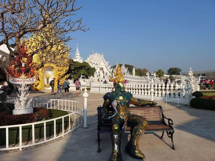 Chiang Rai Discovery:7 Attractions, Tickets & Lunch Included - Choui Fong Tea Farm: Tea Tasting That Actually Changes the Pace