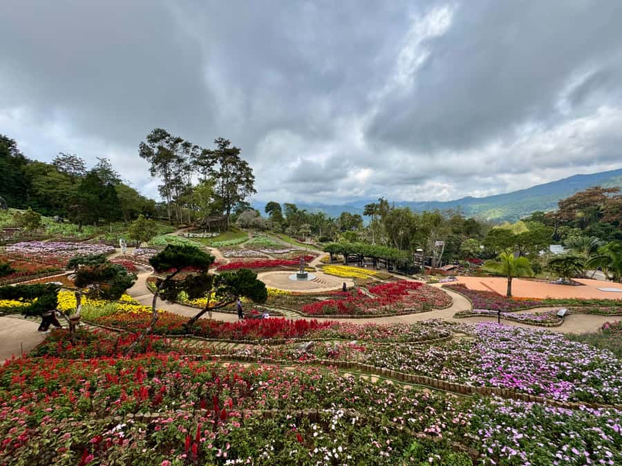 Chiang Rai: Explore Mountain & Border Routes - Private Tour - Before you go: what to pack and the rules that apply