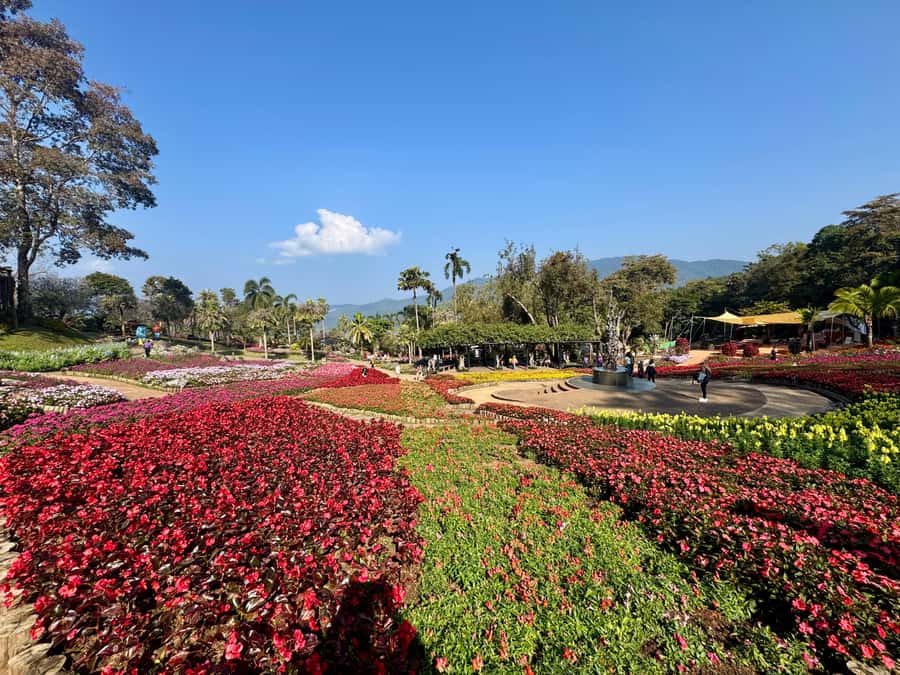 Chiang Rai: Explore Mountain & Border Routes - Private Tour - Guide quality matters most on border routes