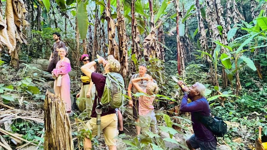 Chiang Rai: Jungle Adventure-Group Trekking & Bamboo Cooking - Who Should Book This, and Who Should Skip It
