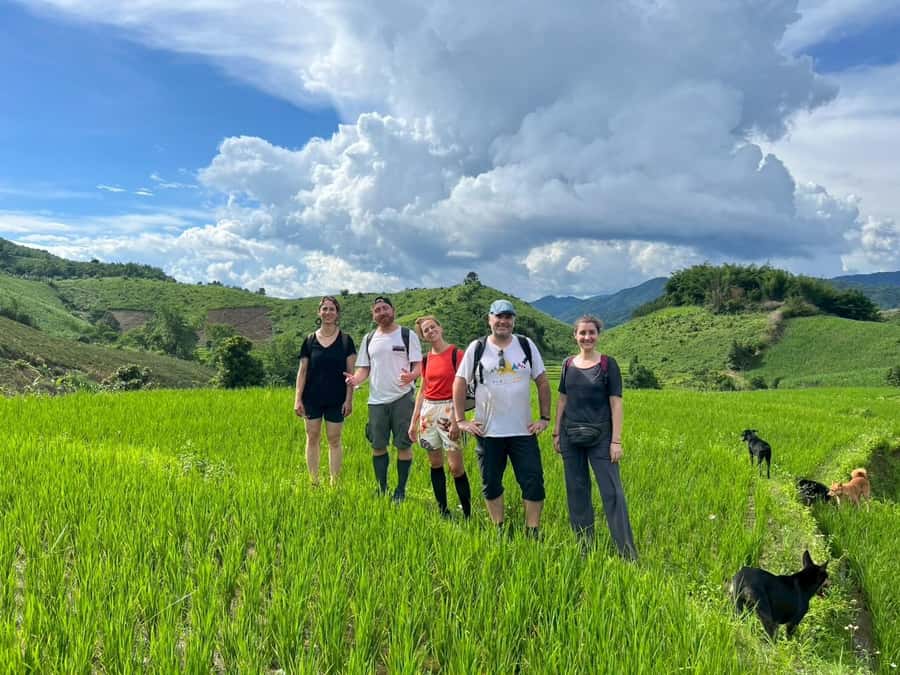 Chiang Rai: Jungle Adventure-Group Trekking & Bamboo Cooking - From Pa Soert Hot Spring to the Tea Fields: How the Day Flows